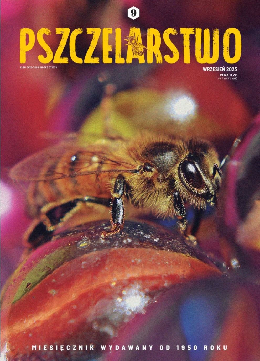 Miesięcznik Pszczelarstwo - Wrzesień 2023